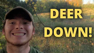 DEER DOWN on Public Land! New York Deer Hunting
