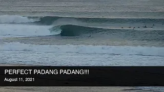 HEAVING, bending & PERFECT BARRELS at PADANG PADANG!!! Bali surf on August 11, 2021