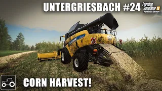 Harvesting Corn & Baling Corn Stalks - Untergriesbach #24 Farming Simulator 19 Timelapse