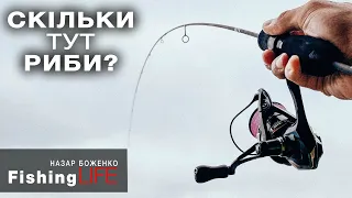 СКІЛЬКИ РИБИ в цій КАЛЮЖІ? Риба КЛЮЄ ОДНА ЗА ОДНОЮ! 2021 рибалка на спінінг на форель