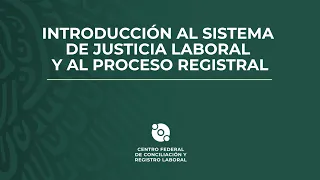 Introducción al sistema de justicia laboral y al proceso registral