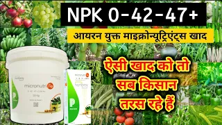 NPK 0-42-47 / micronutrient iron based fertilizers | water soluble fertilizer / 0:42:47 khad