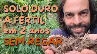 Como Começar uma Agrofloresta (ADUBAÇÃO VERDE)