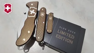 [REVUE] Victorinox - ALOX LIMITED EDITION 2024 | Evoke / Pioneer X / Classic SD