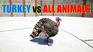 Far Cry 5 Arcade - Animal Fight: Turkey vs All Animals Battles