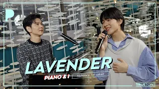 Lavender | นุนิว NuNew x TorSaksit (Piano & i Live)