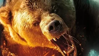 Best Survival Thriller Movie 2019 Hollywood Adventure Horror Movies in English