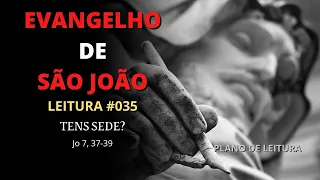 #035 TENS SEDE? Plano de Leitura, Diário Espiritual, Evangelho de São João.