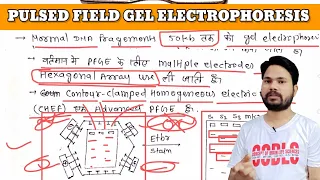 PULSED FIELD GEL ELECTROPHORESIS / PFGE / HOW TO SEPARATE LARGE DNA FRAGMENTS / USE OF PULSED FIELD