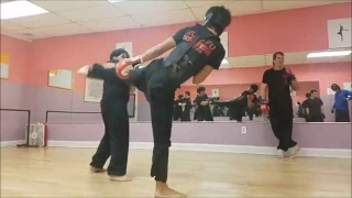 Sparring Choy Lee Fut Kung Fu