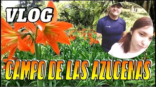 CAMPO DE LAS AZUCENAS - MONTEROS- TUCUMÁN - Vlog