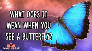 What Does It Mean When You See A Butterfly