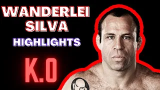 WANDERLEI SILVA HIGHLIGHTS | ALL KNOCKOUTS | THE VERY BEST OF THE "AXE MURDERER"