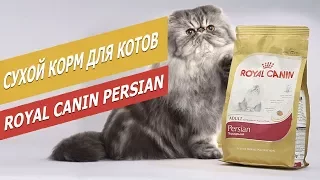 Сухой корм Royal Canin Persian для кошек | Обзор сухого корма для кошек  |  Overview of dry food