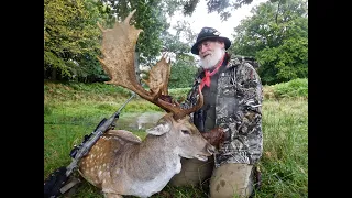 Fallow Deer of Denmark " DSC's Trailing The Hunters Moon "