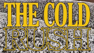 The Cold Rush- Will You Take The Plunge?