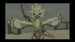 The legend of Zelda Tik tok edits with random memes sprinkled in (TOTK MASSIVE SPOILERS)