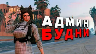 АДМИН НАШЁЛ БАГ В ГТА 5 РП - АДМИН БУДНИ В ГТА 5 РП / GTA 5 RP