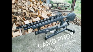 Gamo Phox Mk1 review-Big Dan's Airguns.