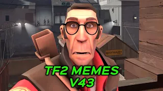 TF2 MEMES V43