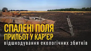 Екологічна ситуація біля Херсонщини: спалені поля прильот у кар'єр відшкодування екологічних збитків