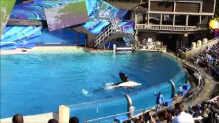 Our Trip to San Diego, CA Day 2, Sea World, 17 Jan 2015