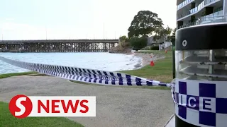 Teen dies in 'unusual' river shark attack in Perth