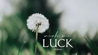 Vietsub | Wish Me Luck - Wallows | Lyrics Video