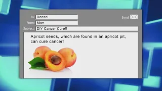 Apricot Seeds: Cure for Cancer?