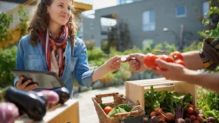 The Difference Between Organic And Sustainable Agriculture