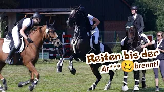 12 Starts mit 3 Pferden auf dem Turnier in Menslage - Telgisches Konditionstraining