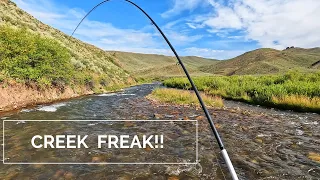 This FLY catches the BIGGEST trout in the stream!    9wk truck camping road trip (WY.ID.MT) p4