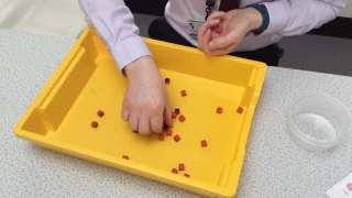 Determination of the half life of a model radioactive source e g  using cubes or dice