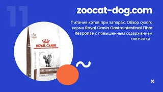 Питание котов при запорах. Обзор сухого корма Роял Канин Фибре Респонс (Royal Canin Fibre Response)