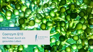 🍀 Deswegen brauchen wir Coenzym Q10 | 💡 Webinar mit Lisa Ressi, MSc.