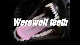 Werewolf teeth subliminal | Fast and powerful