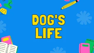 🐕Dog's Life: Breeds, Care, Communication and Fun