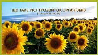 Ріст і розвиток організмів (тривалість життя)