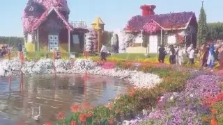 Miracle Garden & Butterfly Garden, Dubai, UAE, 2016