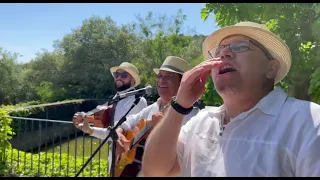 Moralito.Song.(cumbia, vallenato)