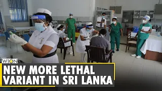 COVID-19: New more lethal variant in Sri Lanka | English News | International Updates