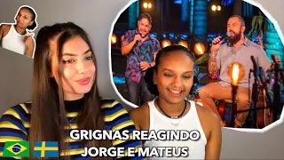 GRINGAS REAGINDO A JORGE E MATEUS- LANCE INDIVIDUAL 🇧🇷🔥