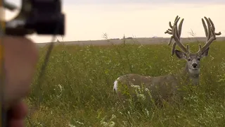 "The Sleepy Story" - 2 HOUR FILM NOW AVAILABLE!!! 266" HUGE MULE DEER!