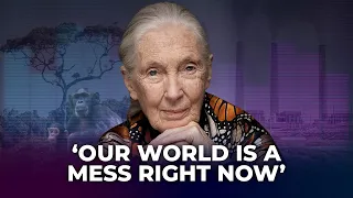 China’s place in the climate crisis fight | Jane Goodall on Talking Post with Yonden Lhatoo