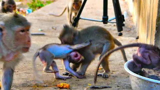 Powerful Baby Group, Cute Little Babies Extremely Good Performance