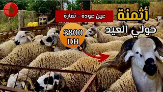 اليوم من ضيعة العربي عين عودة 🇲🇦مع أثمنة الحولي عيد الأضحى🐑🔥 🧨 البركي و الصردي ‼️