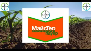 Гербицид для кукурузы "МайсТер Пауер" от ТОВ "Агробаланс"