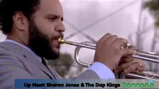 Sharon Jones & The Dap-Kings - Live at Bonnaroo 2008