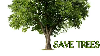 Essay an importance of trees for students | Benefits of trees essay 🎄 | WRITING WORLD