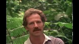 Werner Herzog: There is no harmony in the universe